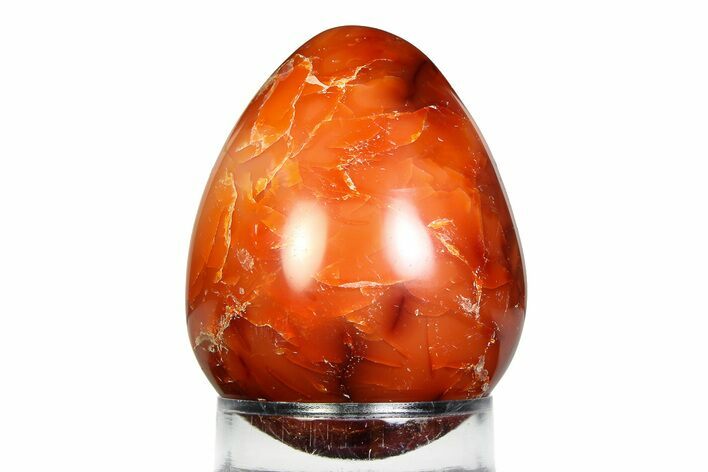 Vibrant Polished Carnelian Agate Egg - Madagascar #355466